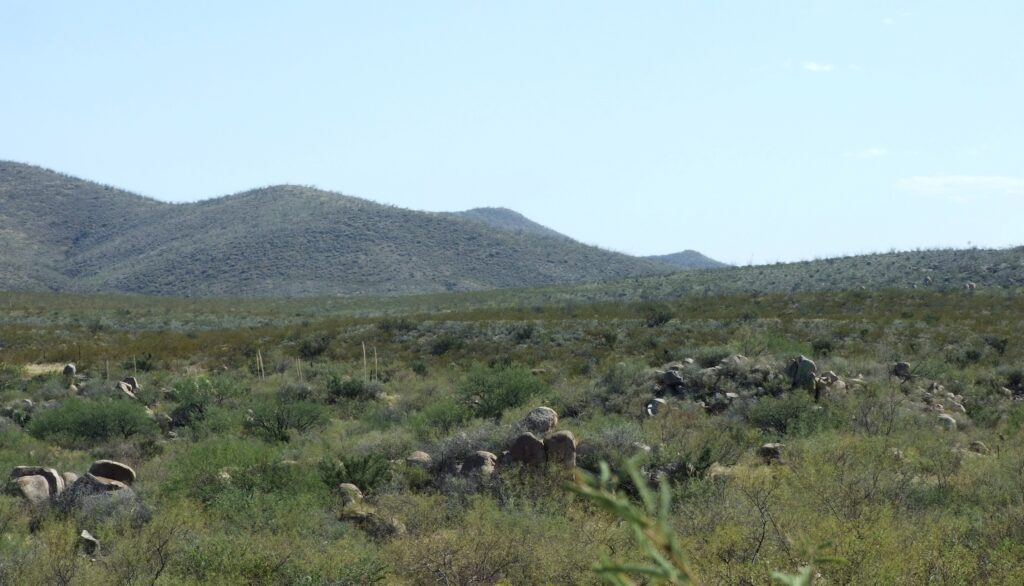 Rocks Near Scheiffelin Monument Tombstone, Arizona